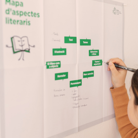 Pack de 12 mapes d'aspectes literaris